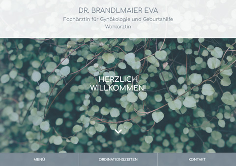 Die Website von Frauenärztin Dr. Eva Brandlmaier